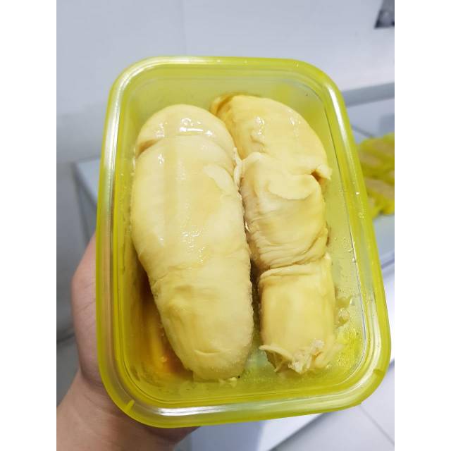 

DUREN MONTONG PREMIUM / DURIAN MONTHONG