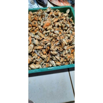 

Kerang ijo kupas250grm