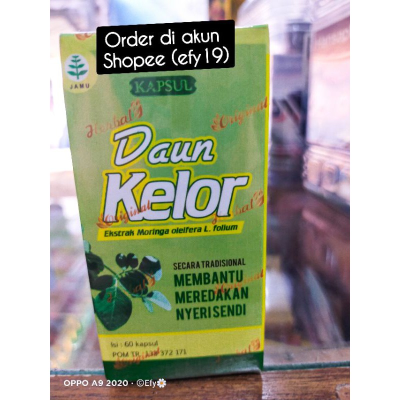 

DAUN KELOR