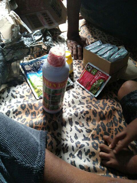 Obat Ulat Penggerek Batang Dan Belalang Lannate 25 Wp Kemasan 15 Gram