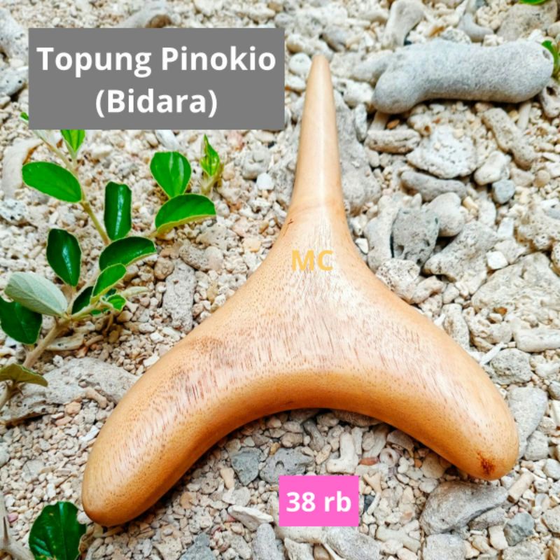

Topung pinokio(bidara)