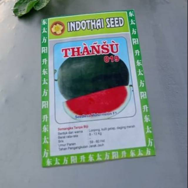 Benih semangka thansu