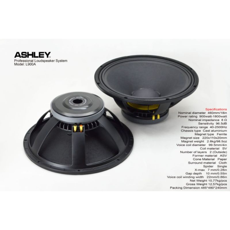 Speaker 18 inch ASHLEY L900A