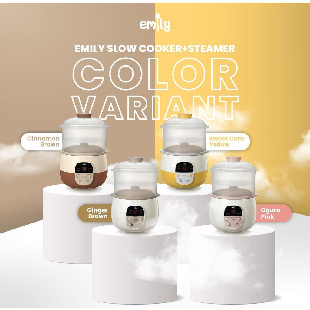 Emily slow  cooker +  stearmer