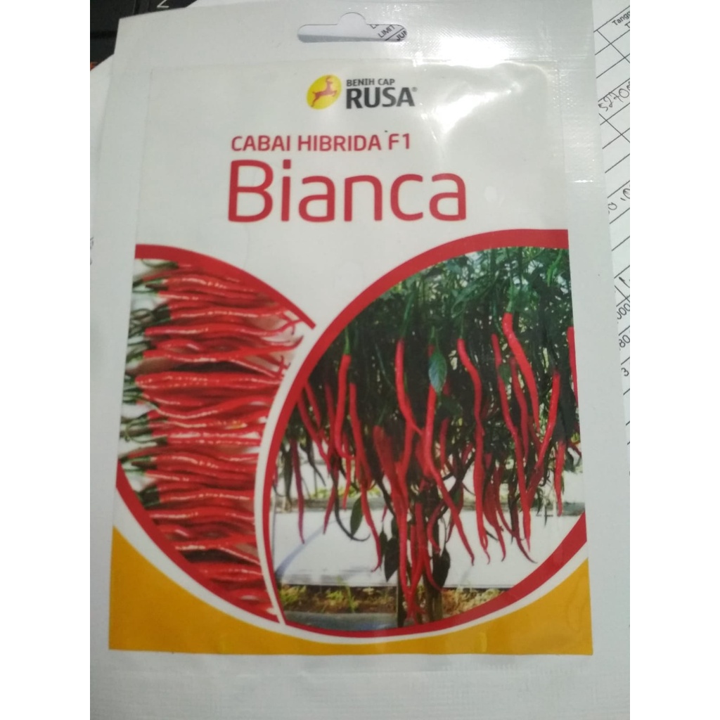 Bianca 10gr Benih Cabai Merah Keriting