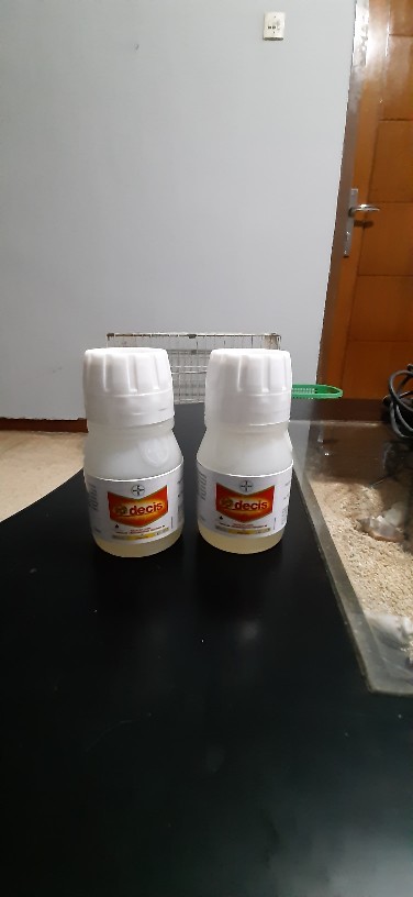 Insektisida Decis 50ml