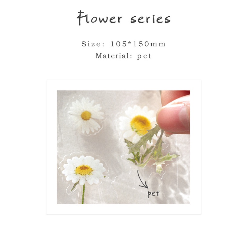 [1Pcs Designs Natural Daisy Plant Words Stickers] [Transparent PET Material Flowers Leaves Plants Deco Stickers]