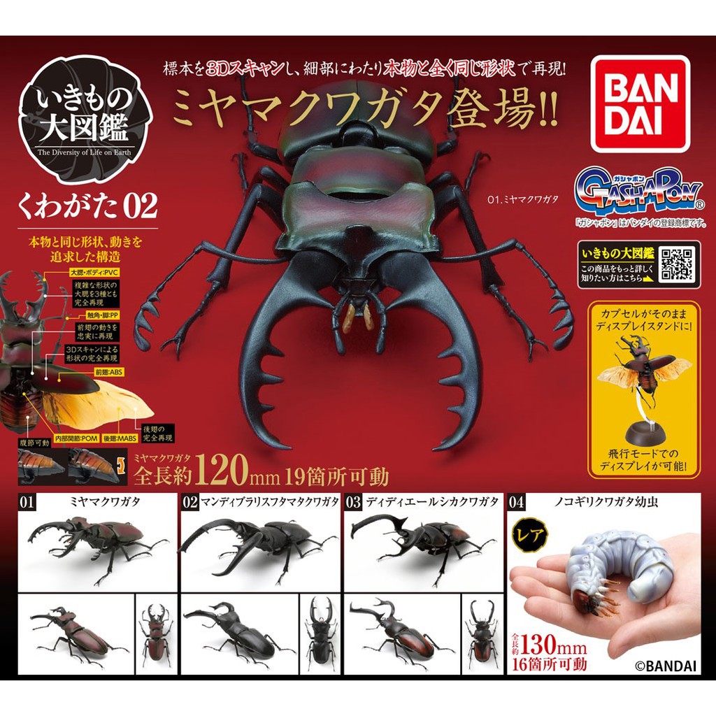 Kuwagata 02 Stag Beetle Kumbang Rusa Capit Lucanidae Bandai Gacha Gashapon Ikimono Kabutomushi Dango