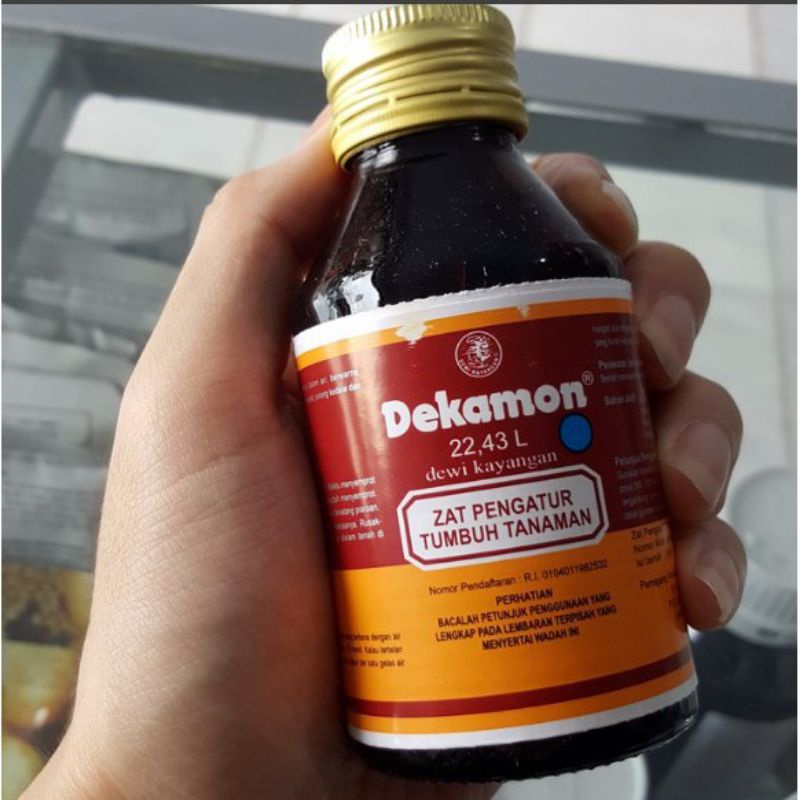 ZPT DEKAMON 100ML