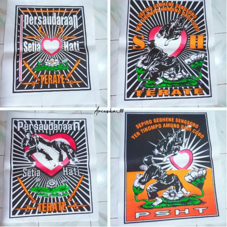 POSTER DINDING PSHT Kanfas | pajangan dinding logo lambang terate "DGL.21My22ᴬ"