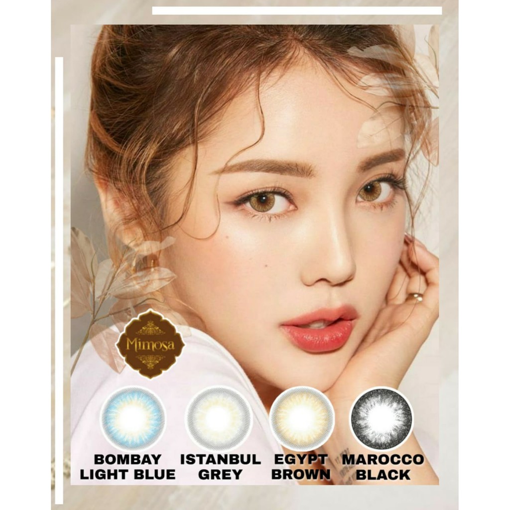 Softlens MIMOSA FLAT DIA 14.50mm NORMAL MINUS Brown Grey Black Blue (-0.50 s/d -3.00)/Lensa  Kontak/BS