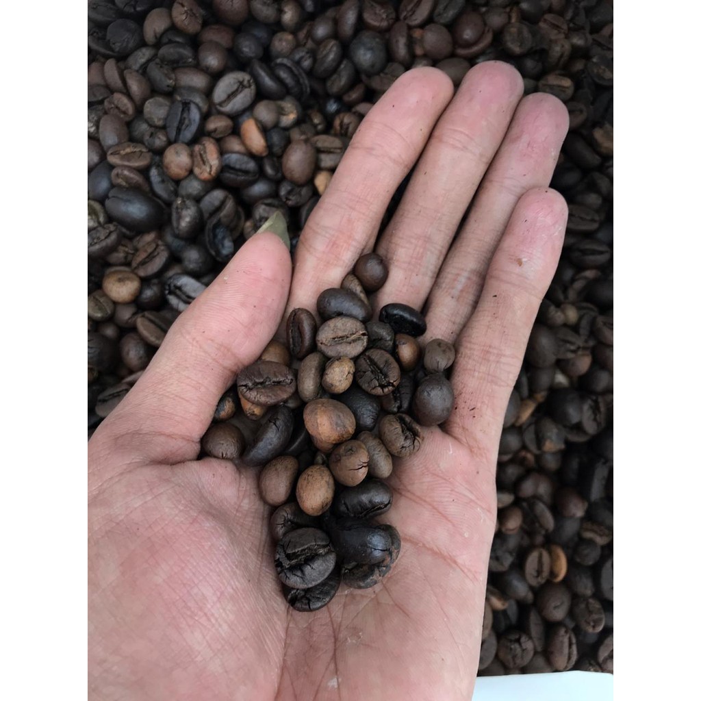 

Kopi Pupuan Tabanan Bali