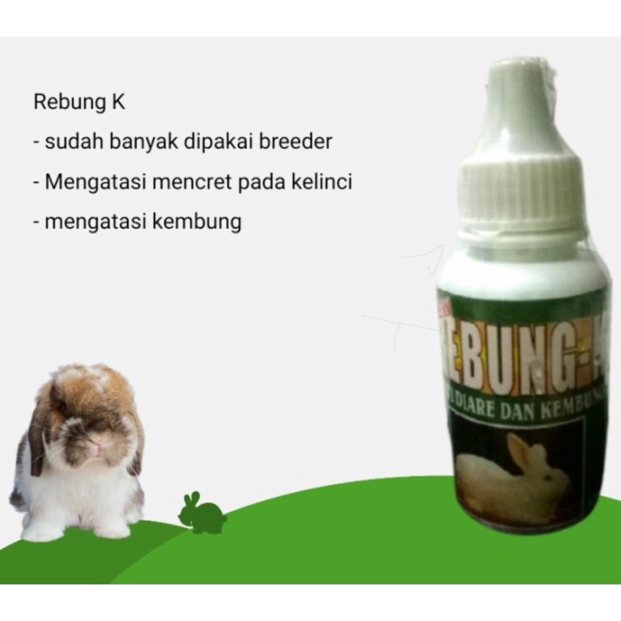 REBUNG KELINCI OBAT ANTI DIARE DAN KEMBUNG PADA KELINCI