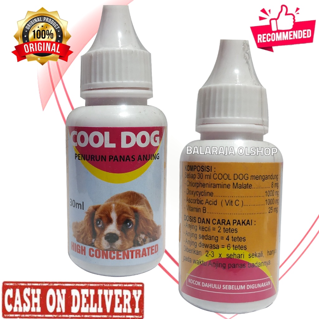 Cool Dog High Contcentrated Obat Penurun Panas Demam Anjing