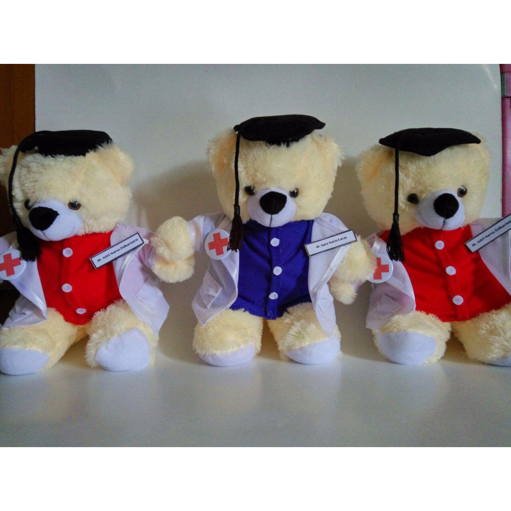 Boneka Wisuda Dokter Murah ukuran Medium Custom Nama Hadiah Kado Dokter Graduation seragam profesi