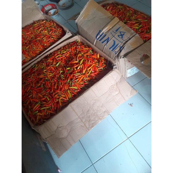 

Cabe Rawit merah 500g