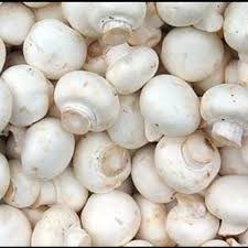 

Jamur champignon / jamur kancing / sayuran segar bandung
