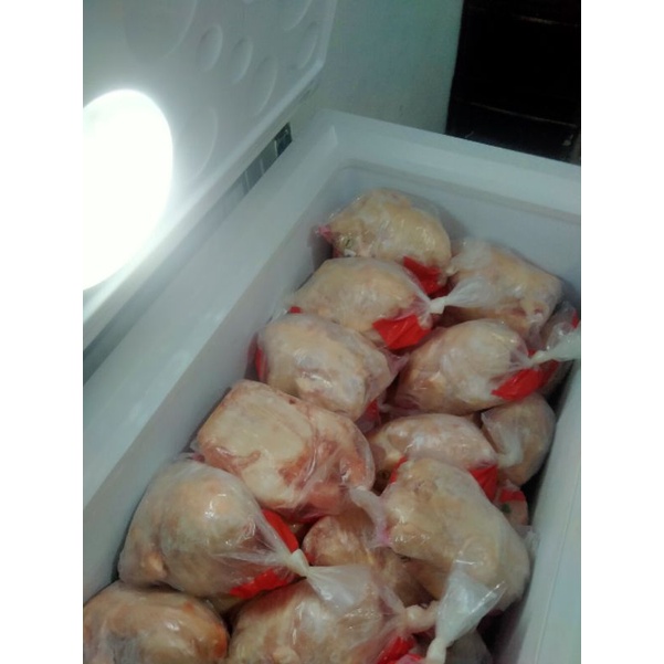 

Ayam Frozen Halal