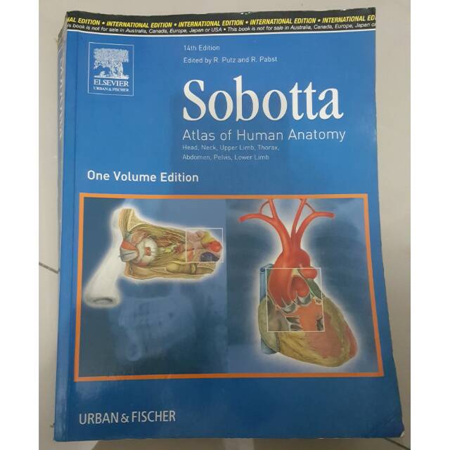 JUAL MURAH ATLAS SOBOTTA ANATOMI PRELOVED/SECONDHAND- 14TH EDITION (INTERNATIONAL)