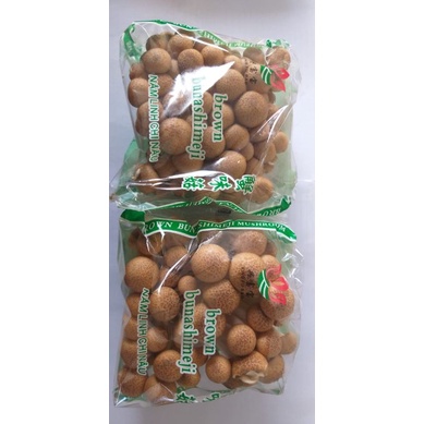 

jamur shimeji coklat