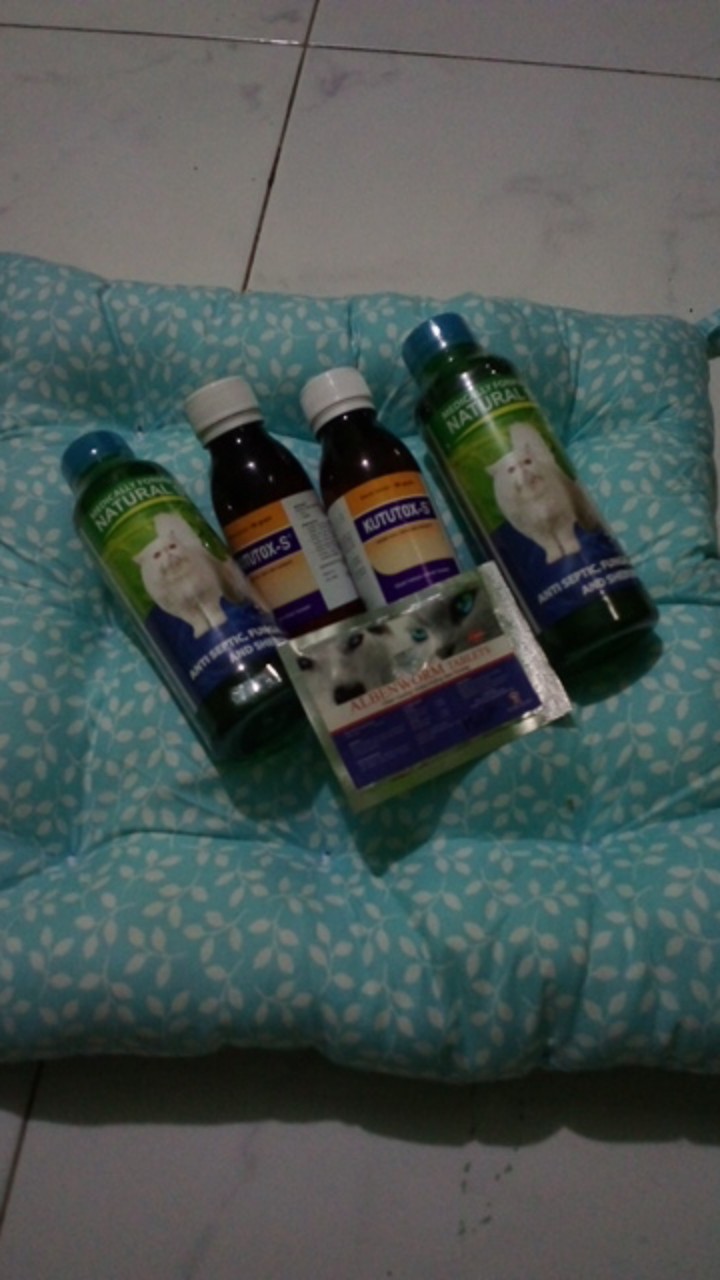 Bantal Alas Duduk 40cm Polkadot