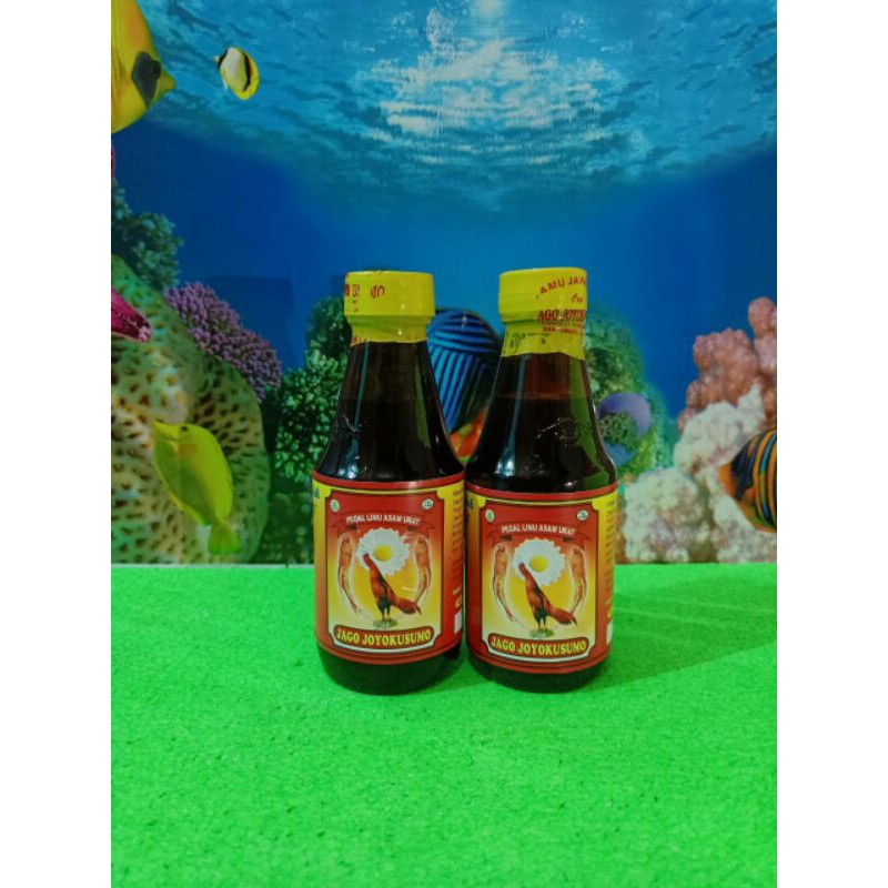 

JAMU JAGO JOYO KUSUMO PAKET 1 DUS 150ml asli jawa timur