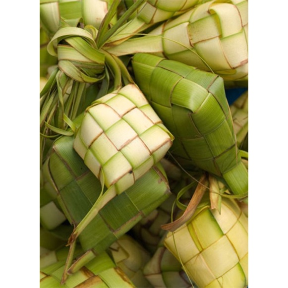 

bungkus ketupat janur kelapa fresh