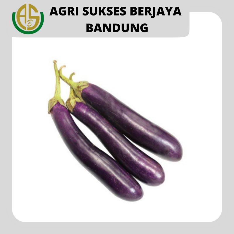 

Terong Ungu - 1 Kg