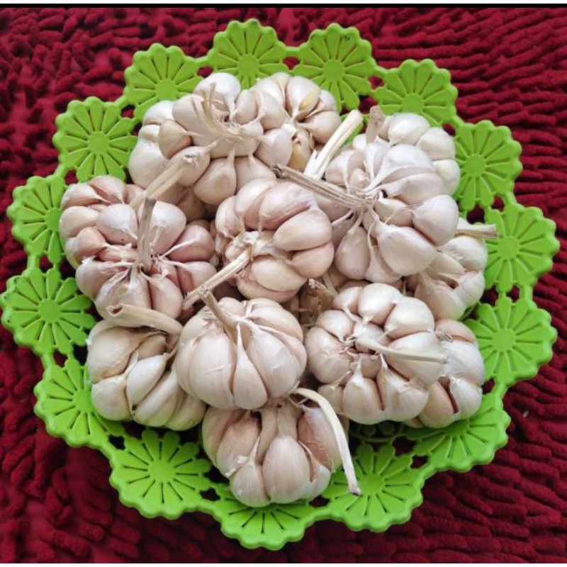 

Bawang Putih Sico / bawang putih sinco 500gr
