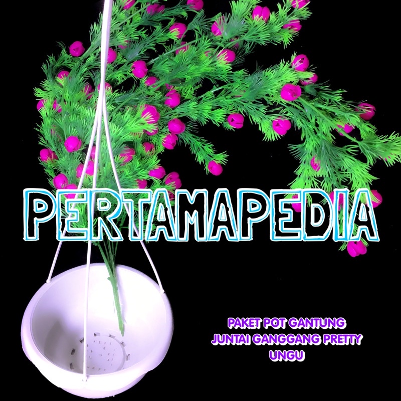PAKET JUNTAI GANGGANG PRETTY PRITI+POT GANTUNG/Bunga Plastik/Daun Rambat Plastik/Busa Bunga/Dekorasi-POTGANT+GGPRETYUNGU