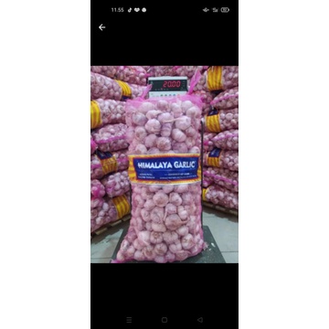 

BAWANG PUTIH PANENAN BARU SEGAR KUALITAS NO1 bisa ecer juga bisa grosir