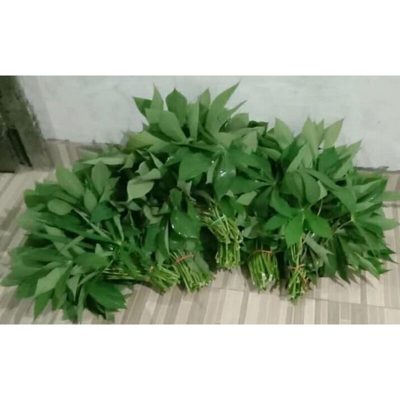 

Daun singkong perikat 250gram