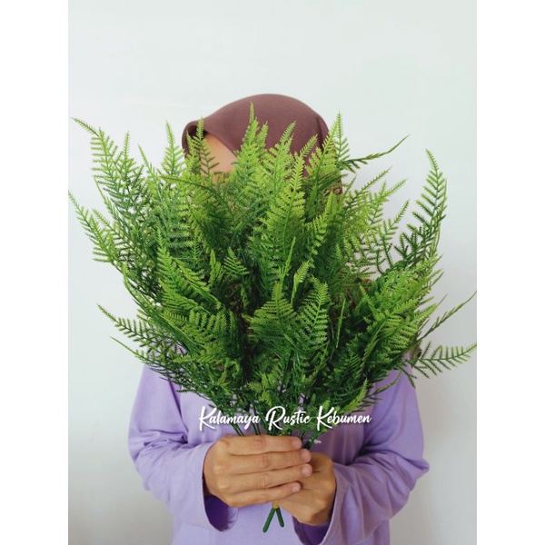 Pakis Paku Mini Bunga Plastik Artificial Dekorasi Rustic Hiasan Mahar Dried Flower Hampers Ringbox-1