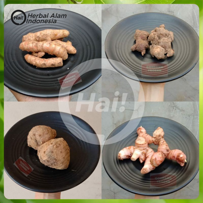 

Jahe Merah / Jahe Gajah / Kunyit / Temulawak / Kencur / Lengkuas