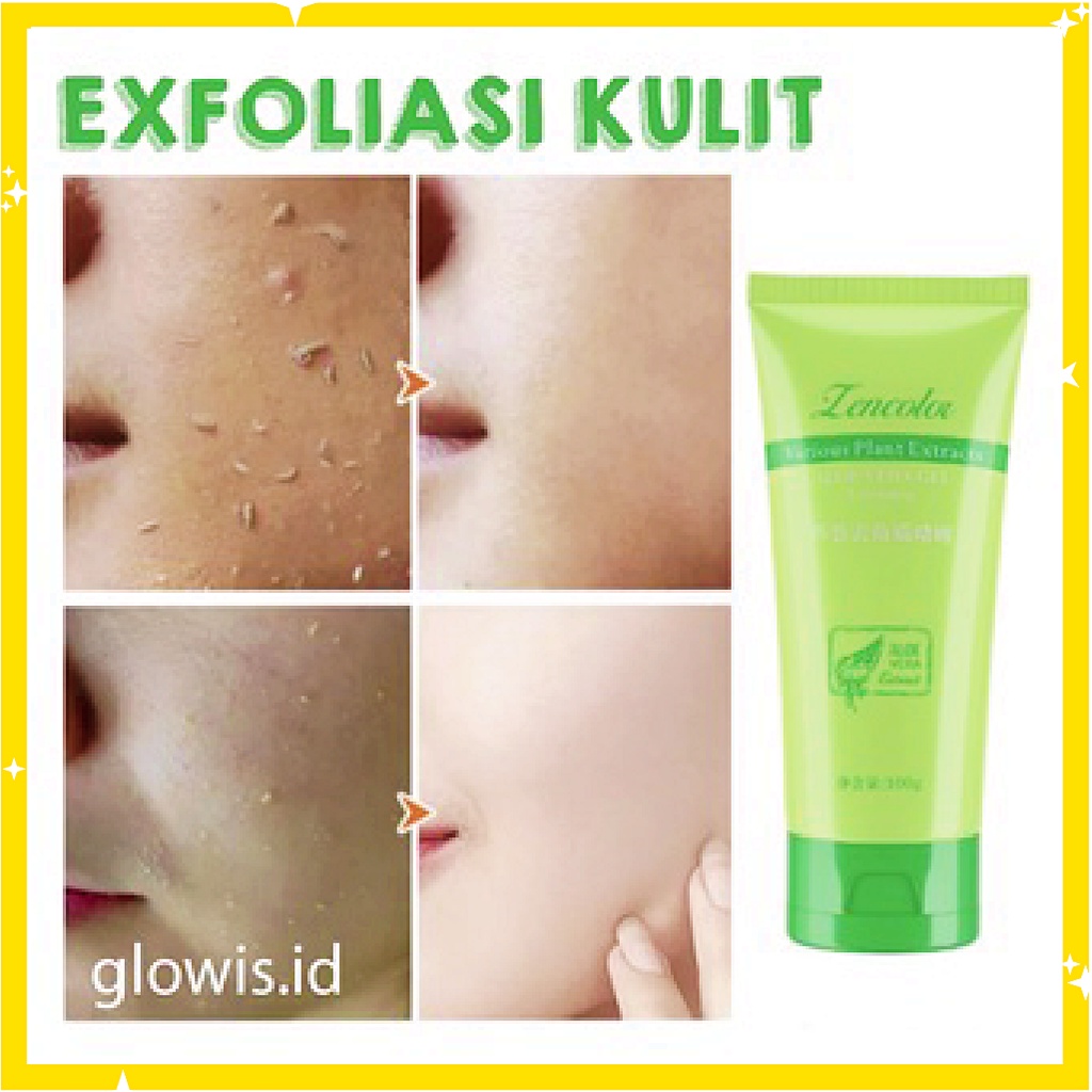 Exfoliating Aloe Vera Centella Asiatica Peeling Gel Eksfoliasi Kulit Wajah 60g XX071