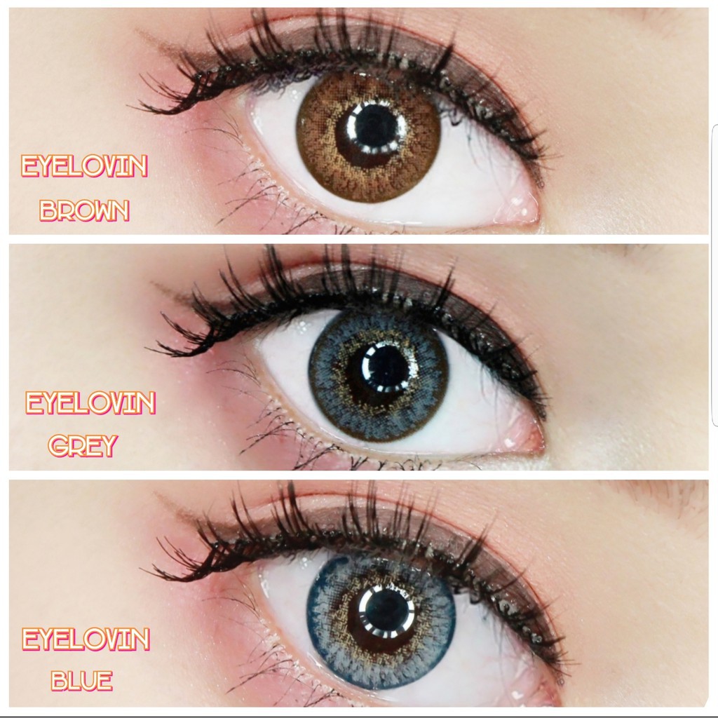 SOFTLENS EYELOVIN 3TONE BY URBAN FACTORY
