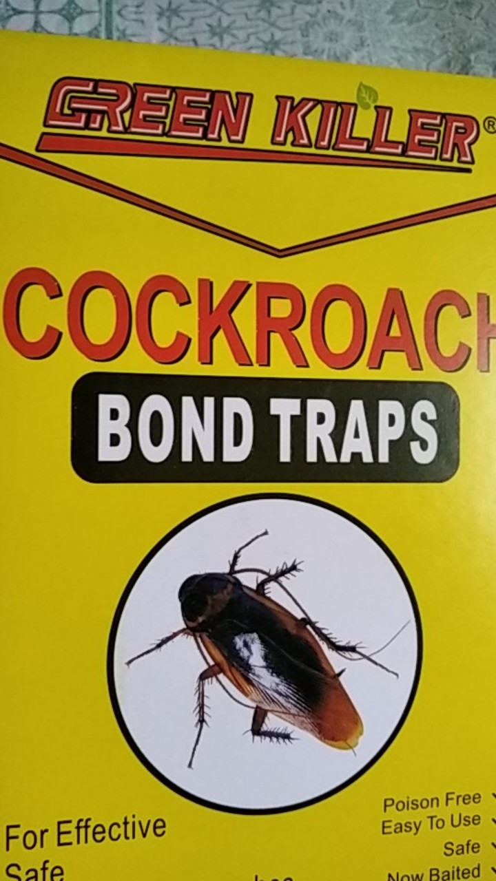 Lem Papan Jebakan Perangkap Cecak Kecoa Mirip Cap Gajah Fe7