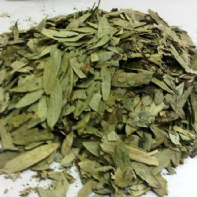 

Teh Pelangsing Daun Jati Cina 250gram - Daun Senna