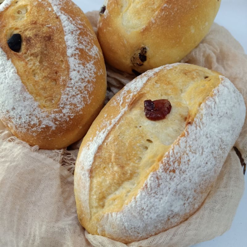 Mix Fruit (cranberry, raisin, krenten), roti gandum TANPA PO-2