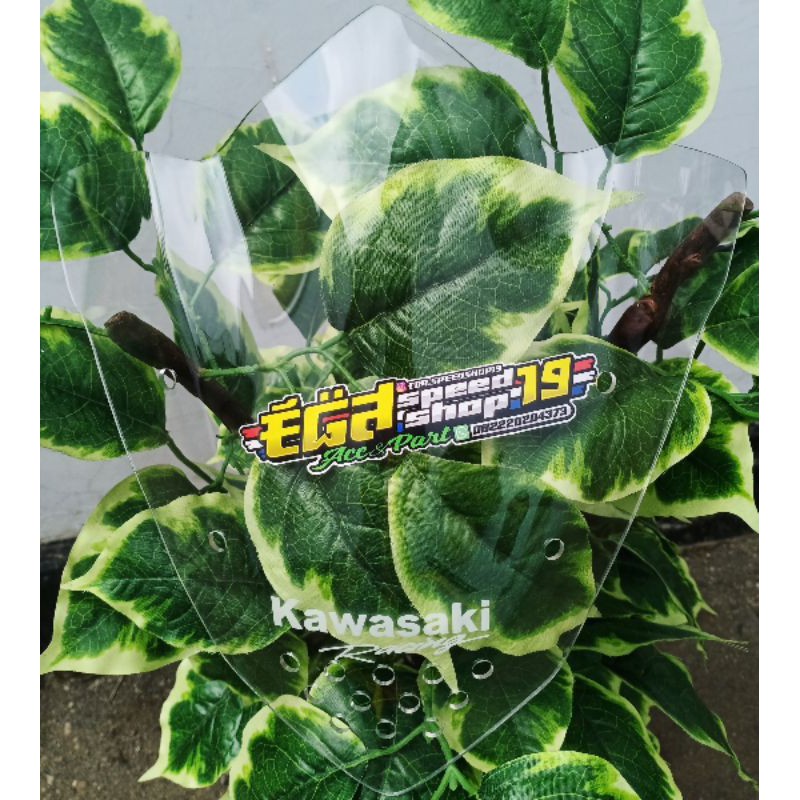 visor bening ninja r