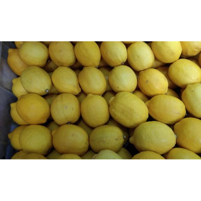 

BUAH LEMON IMPORT 500g