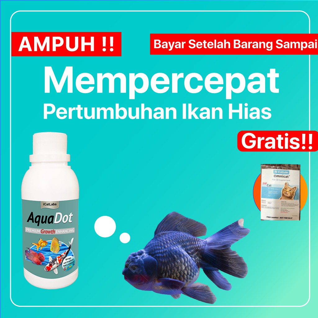 660+ Obat Jamur Ikan Hias Air Laut HD Terbaru