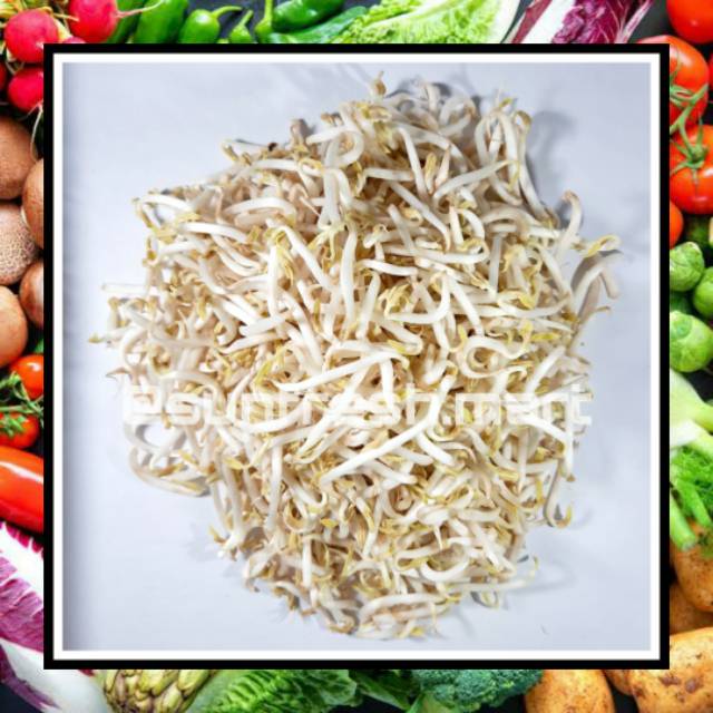 

Kecambah / Tauge 1 Kg