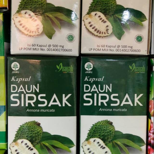 Kapsul daun sirsak