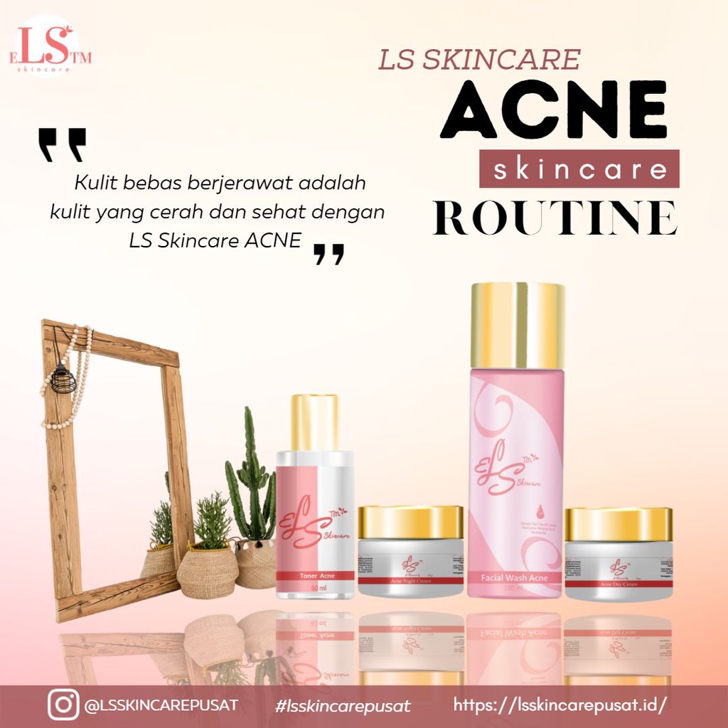 SKINCARE CREAM PEMUTIH WAJAH BPOM  ACNE PAKET KULIT BERJERAWAT  LS SKIN CARE (ELSTM)
