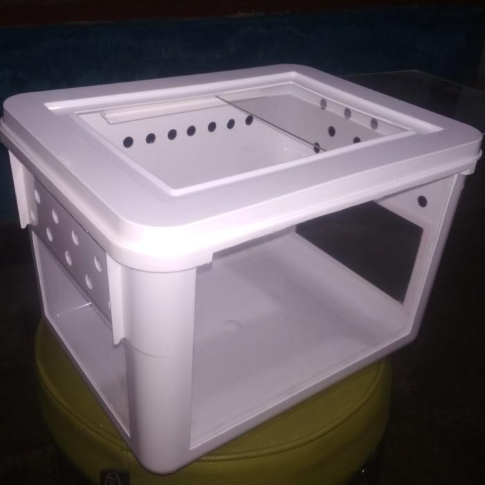 Sizadn/ Frog Pacman Box