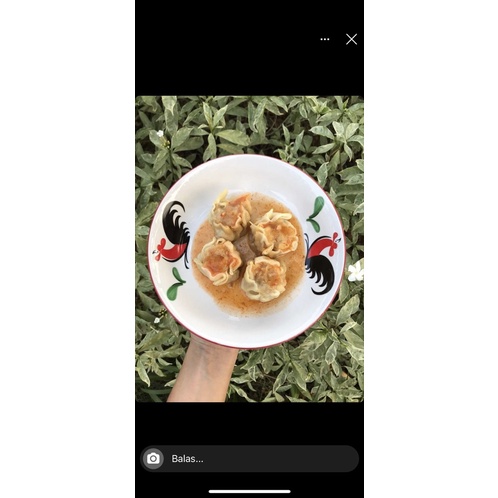 

dimsum frozen isi 10pc