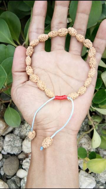 GELANG  JENITRI RUDRAKSHA MUKHI 2