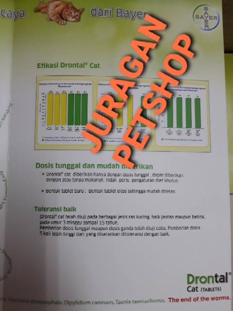 Drontal Cat|Obat Cacing Kucing 1 TABLET |Obat Drontal Bayer| EXP 2026 (ORIGINAL)