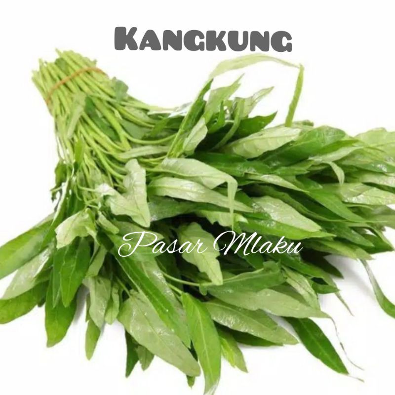 

KANGKUNG SAYURAN SEGAR